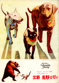 The Incredible Journey / Pamphlet of Kanto area Japan